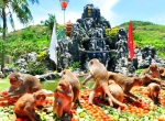 Khám phá đảo Khỉ Nha Trang – Nơi ở của thế giới loài khỉ