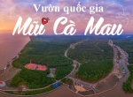 Bỏ túi kinh nghiệm du lịch vườn quốc gia Mũi Cà Mau