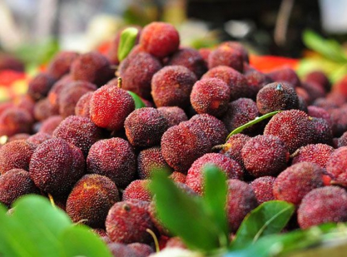 Những loại trái cây đặc sản vùng Tây Bắc đặc biệt nổi tiếng mà có thể bạn chưa biết