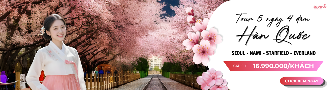 MÙA HÈ HÀN QUỐC 5N4D