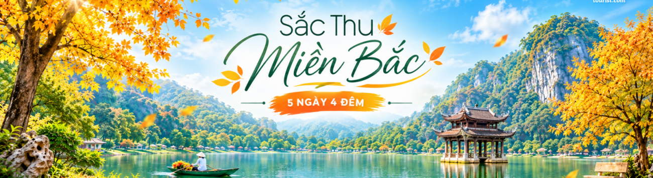 Thu Miền Bắc