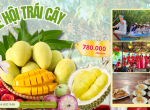 Lễ Hội Trái Cây 2026: Hành Trình Khám Phá Hương Vị Miền Tây! 