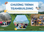 Team Building Cho Doanh Nghiệp: Đầu Tư Hiệu Quả Hay Lãng Phí Ngân Sách?