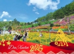 Du Xuân Đón Lộc:Top 10 Địa Điểm Ngắm Hoa Tuyệt Đẹp Dịp Tết 2026 