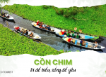 Tour Cồn Chim Trà Vinh 1 Ngày: Kinh Nghiệm & Lịch Trình Từ A-Z