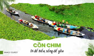 Tour Cồn Chim Trà Vinh 1 Ngày: Kinh Nghiệm & Lịch Trình Từ A-Z
