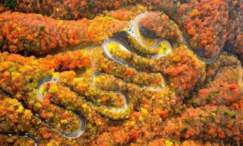 Lịch trình 1 ngày ngắm mùa lá đỏ ở Nikko Nhật Bản