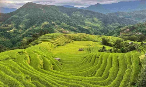 Ngắm mùa lúa chín ở Hà Giang vẹn nguyên sau bão lũ