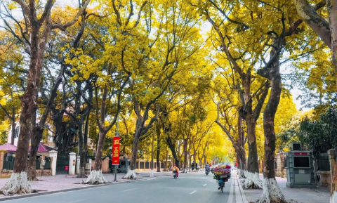 Mùa Thu Miền Bắc Có Gì Hấp Dẫn. 