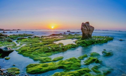 Cẩm nang du lịch Phan Thiết tự túc dịp lễ 30/4