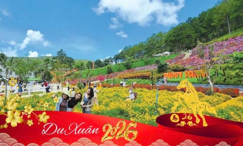 Du Xuân Đón Lộc:Top 10 Địa Điểm Ngắm Hoa Tuyệt Đẹp Dịp Tết 2026 
