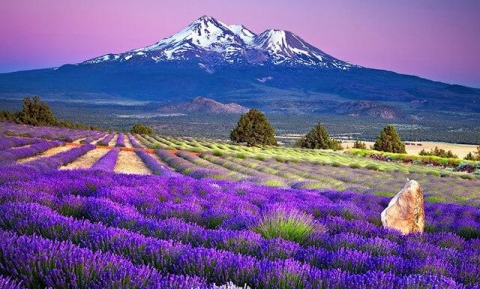 Cẩm nang du lịch Nhật Bản mùa hè siêu hấp dẫn