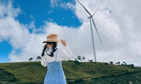 Quạt gió Cầu Đất Đà Lạt điểm chụp hình mới toanh cực nên thơ