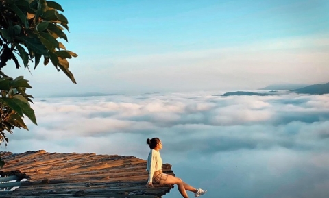 Cầu gỗ săn mây ở Đà Lạt, từng bước đến tiên cảnh