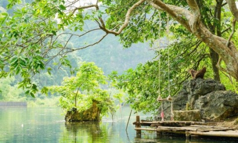 Cây phu thê Lạng Sơn 50 tuổi thu hút đông đảo du khách bởi dáng vẻ lạ lùng