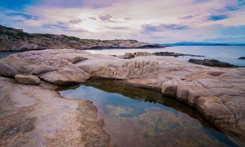 Cù Lao Mái Nhà Bình Yên Tại Phú Yên - Xứ Hoa Vàng Trên Cỏ Xanh