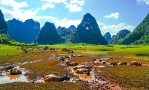 Kinh nghiệm du lịch Cao Bằng cho mùa hè năm nay