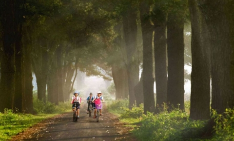 Note ngay 8 địa điểm du lịch Gia Lai nổi tiếng có view check-in cực “xịn xò”