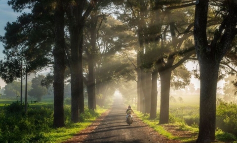 8 địa điểm đẹp nhất tại Gia Lai mà bạn nhất định phải check-in vào dịp hè này