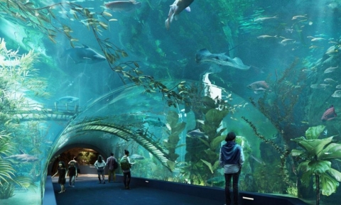 Khám phá thủy cung Lotte Hà Nội địa điểm vui chơi cuối tuần lý tưởng