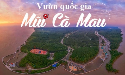 Bỏ túi kinh nghiệm du lịch vườn quốc gia Mũi Cà Mau