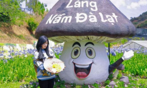 Khám phá Làng Nấm Đà Lạt – Điểm du lịch lý tưởng cho người yêu khám phá