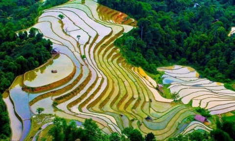 TOP 5 BẢN LÀNG ĐẸP NHẤT HÀ GIANG KHÔNG NÊN BỎ LỠ 