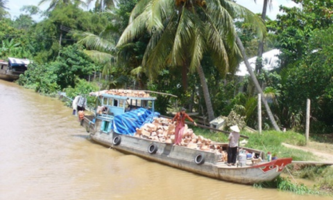 Thăm Miền Tây Nam Bộ