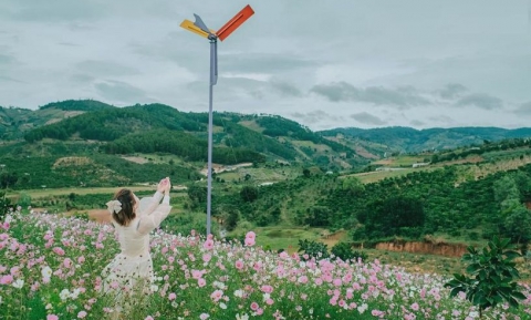 Thung lũng hoa Tà Nung Đà Lạt – Điểm đến đẹp mê hồn dành cho giới trẻ