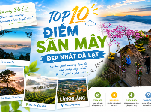 Top 10 Điểm Săn Mây Đẹp Nhất Đà Lạt - Những Nơi Ngắm Biển Mây Khiến Bạn Muốn Quay Lại Nhiều Lần