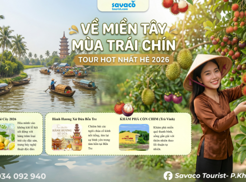 Về Miền Tây Mùa Trái Chín 2026 – Tour Miền Tây Hè Hot Nhất