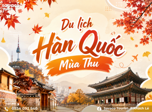 Du Lịch Hàn Quốc Mùa Thu 2026: Top 5 Địa Điểm Ngắm Lá Phong Đẹp Nhất