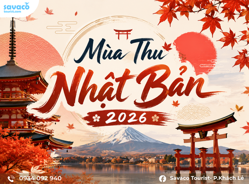 Mùa Thu Nhật Bản 2026: Lịch Ngắm Lá Đỏ Momiji Chi Tiết A-Z