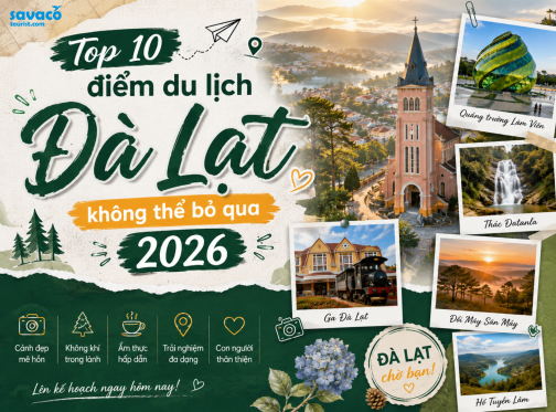 Top 10 Điểm Du Lịch Đà Lạt Không Thể Bỏ Qua Năm 2026 – Check-in Đẹp Quên Lối Về 