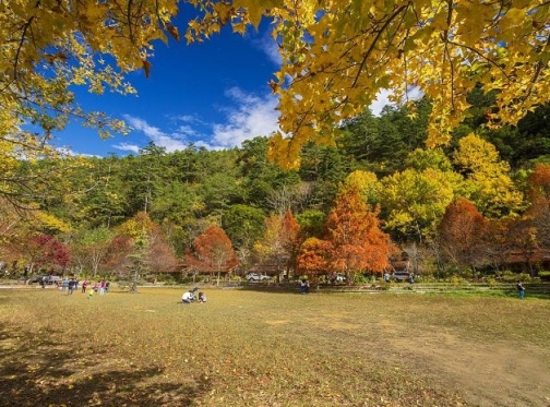 Top 5 điểm ngắm lá phong đẹp ở Đài Loan không nên bỏ qua