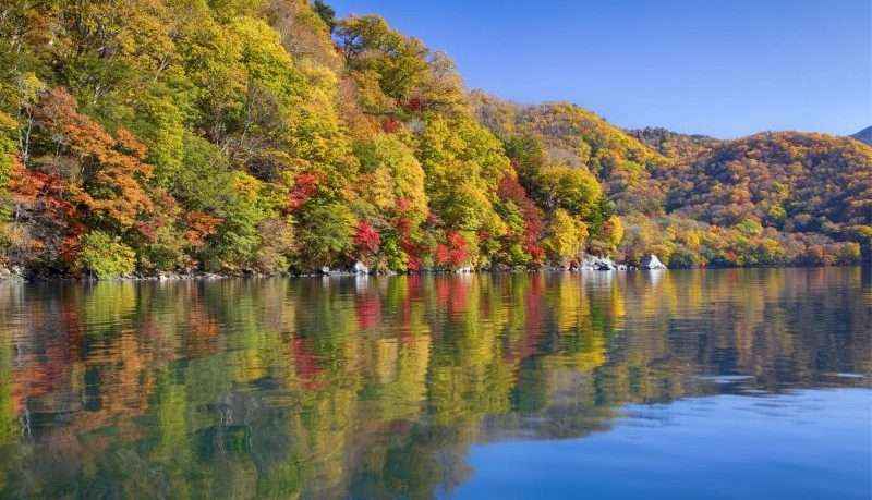 Lịch trình 1 ngày ngắm mùa lá đỏ ở Nikko Nhật Bản
