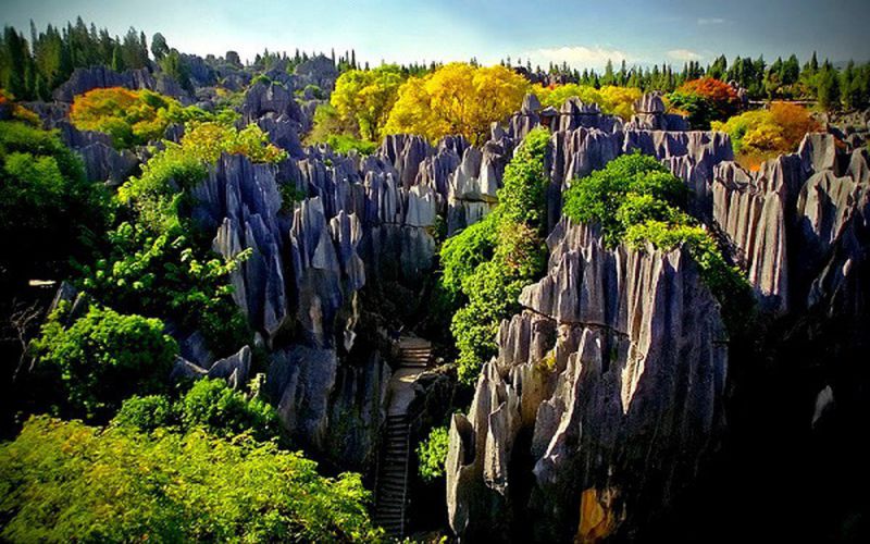  rừng đá Thạch Lâm