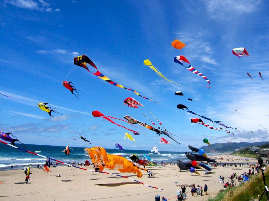 Lễ hội thả diều quốc tế Fantastic Ocean Kite Carnival