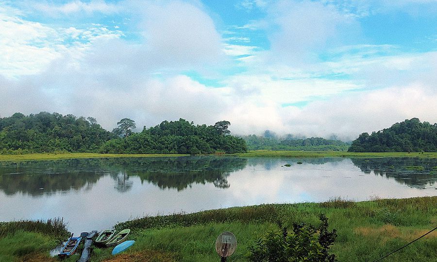 Bàu Sấu