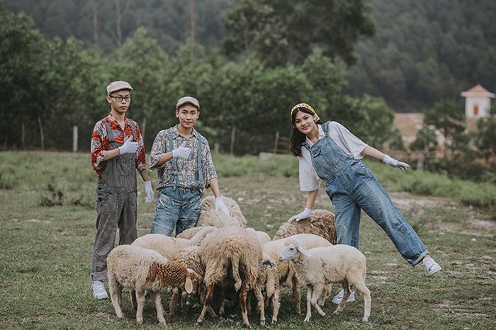 Cánh đồng nuôi cừu Yên Thành 