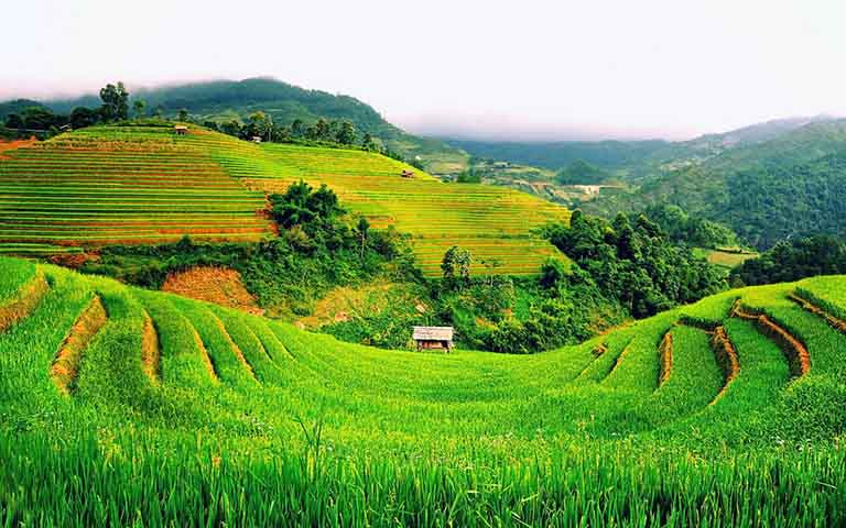 Tour Đông Bắc 5N4D: Khám phá vẻ đẹp hùng vĩ địa đầu tổ quốc