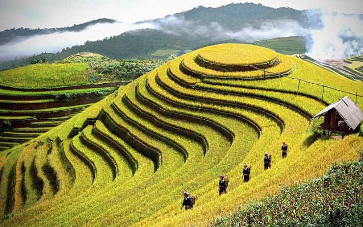 ruộng bậc thang