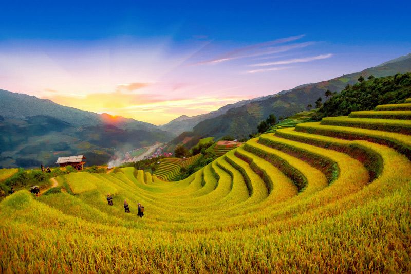 ruộng bậc thang