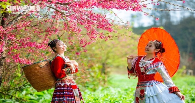 TOUR TẾT 2026 | MIỀN BẮC 5N4D: HÀ NỘI – SAPA - NINH BÌNH – TAM CHÚC - HẠ LONG