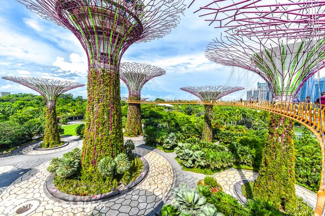 Kỳ quan Gardens by the Bay