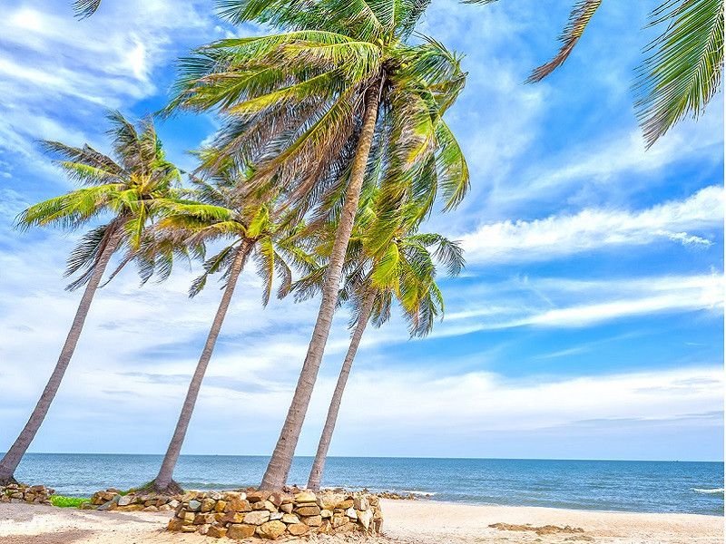 bãi biển phan thiết