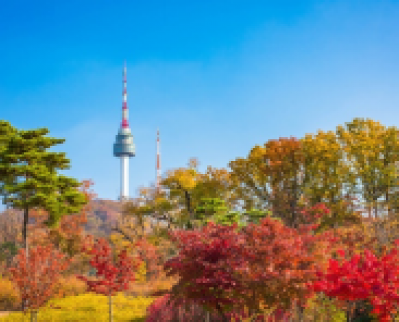  Tour Seoul - Nami - Everland 5N4D Mùa Thu T11 12