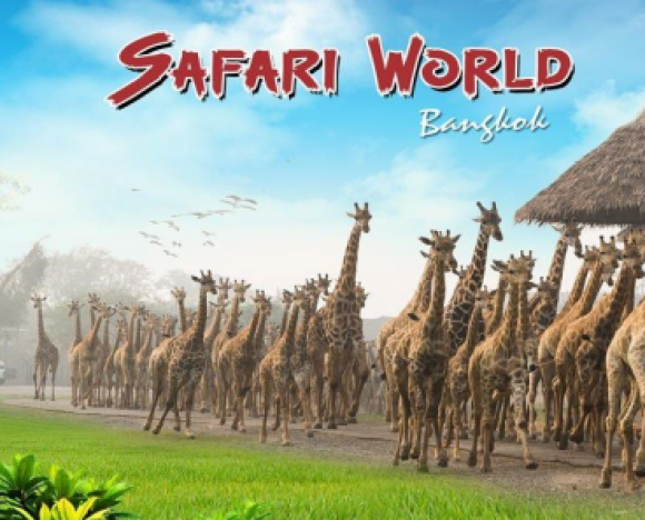 Tour Bangkok - Pattaya - Safari 5N4D