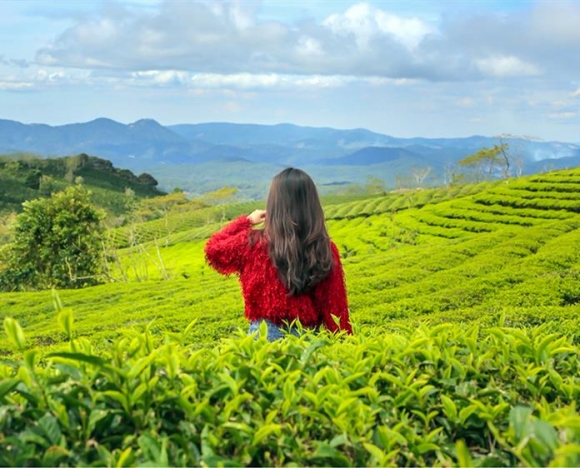 Tour Đà Lạt 3N3D - Khám Phá Thành Phố Sương Mù Với Trải Nghiệm Hấp Dẫn