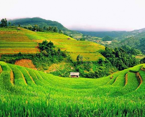 Tour Đông Bắc 5N4D: Khám phá vẻ đẹp hùng vĩ địa đầu tổ quốc